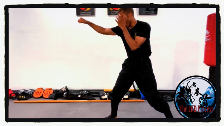 Jeet Kune Do Level 3 - Attack by Combination