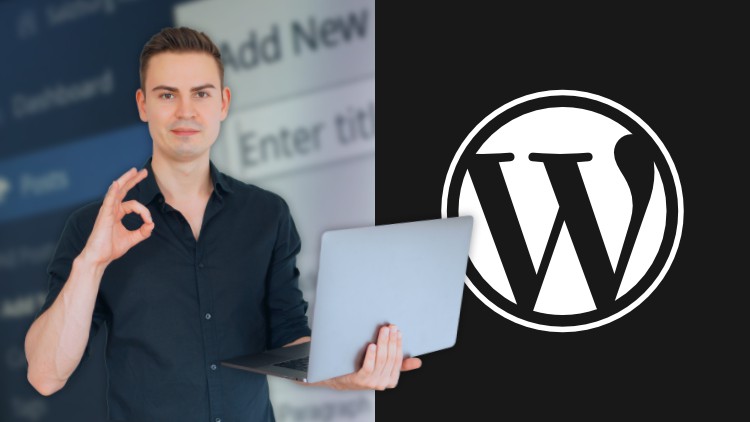 WordPress lernen: Vom Anfänger zum Profi in wenigen Stunden