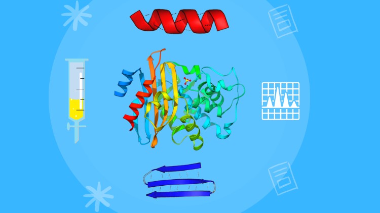 Biochemistry: Learn Amino Acid and Protein Basics