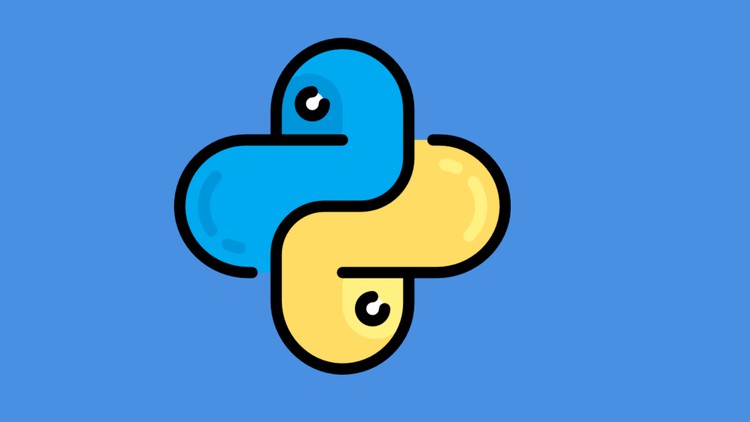 Python Programming for Beginners : Learn Python Quickly