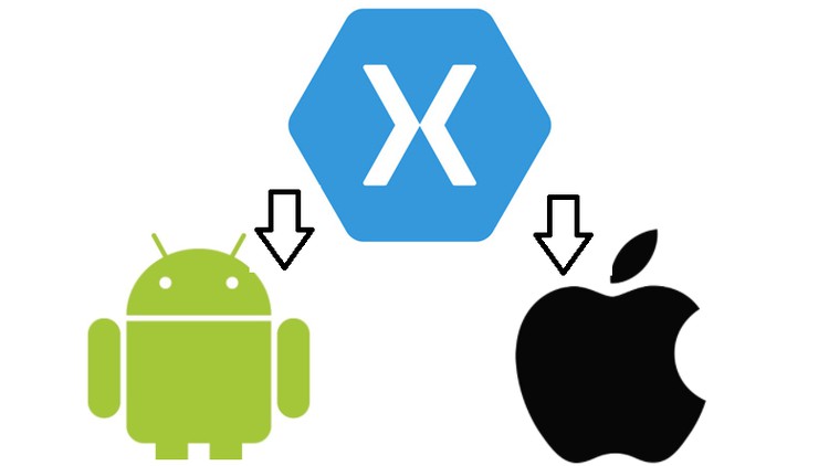 Xamarin De cero a experto con Web API y Entity Framework(C#)