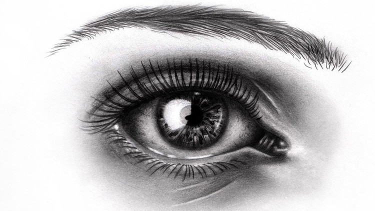 Fundamentals of Drawing- Beginner to Advanced
