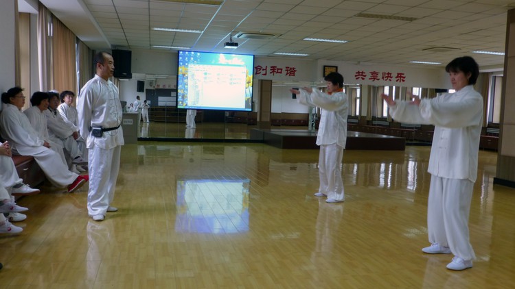 仁和太极内功基础八桩 6.透源泉桩法 Tai Chi Internal Skill Lesson Six