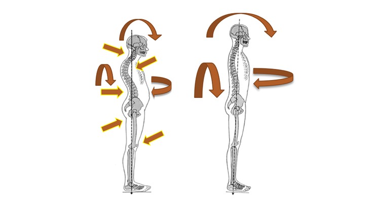 Joint-Wise Yoga