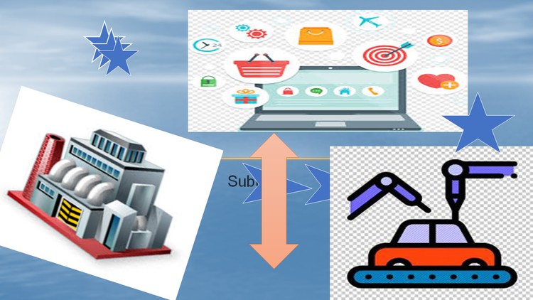 Functional Foundation of Enterprise Resource Planning (ERP)