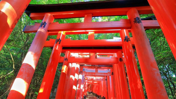 Katakana Basics Online Course | Japanese for Beginners