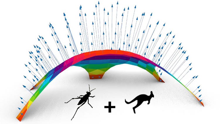 FORM FINDING with Kangaroo Physics / Grasshopper