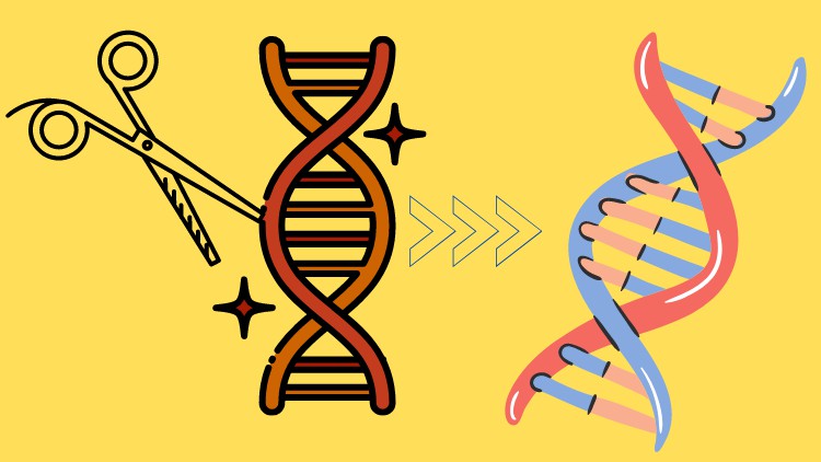 Practice Questions in Genome Editing/Gene Editing