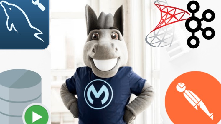 Mulesoft | An "In-depth & Extensive" Tutorial for Beginners