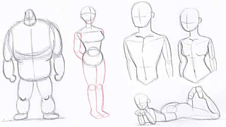 Essentials Of Human Anatomy: Complete Figure Drawing Course