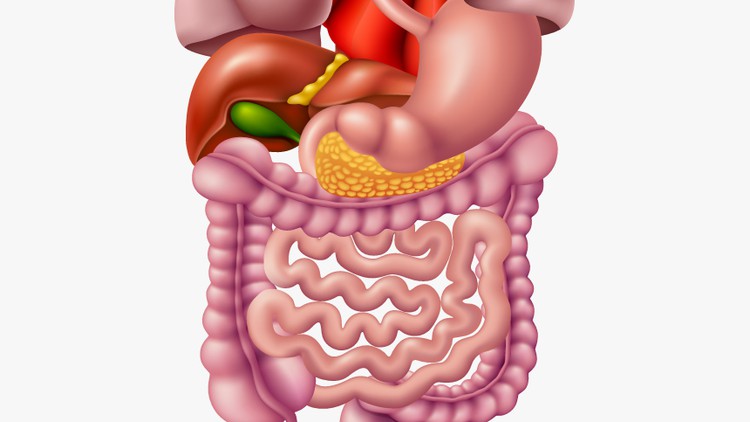 Como curar a doença de Crohn e outras doenças autoimunes ?