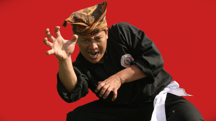 Pencak Silat - Die Grundlagen des Pencak Harimau