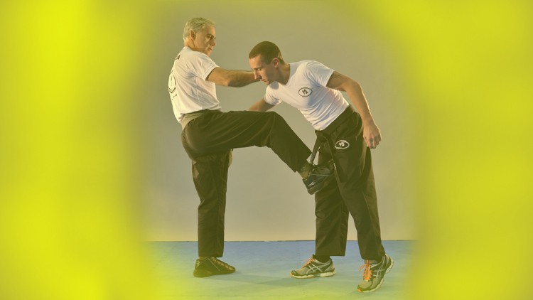 Krav Maga - Official program FEKM Yellow Belt