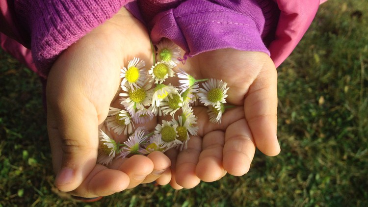 INSPIRED BY REGGIO EMILIA: The Art of Open-Ended Materials