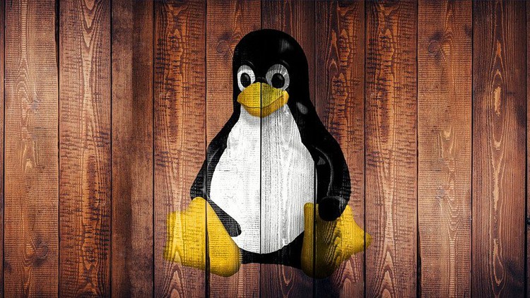 Linux Bootcamp From Zero to Hero