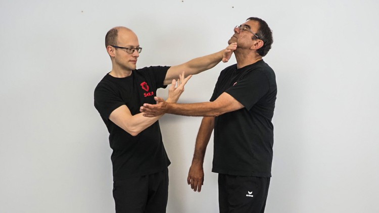 Die dritte Sektion Chi Sao im Wing Tsun