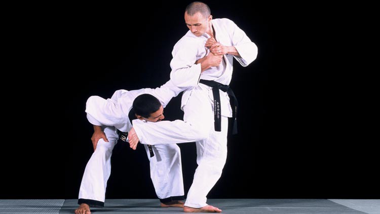 Hapkido - Du Débutant au Confirmé