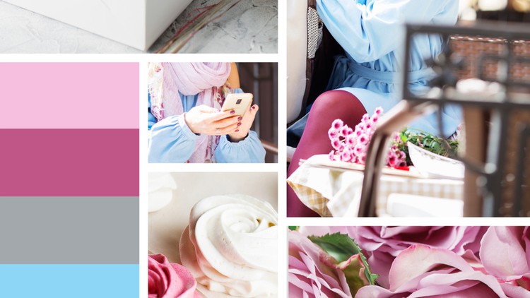 Certified Fashion Industry Professional (Practice Exams)