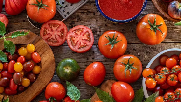 Growing Tomatoes in Your Home Garden