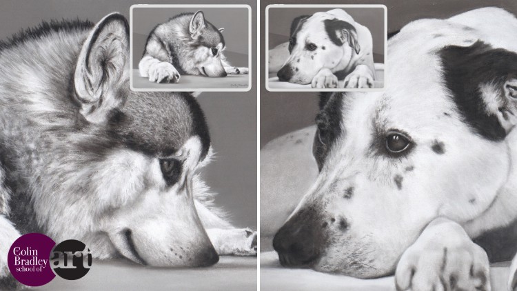 How to Draw Dogs - Monochrome Effect - Just 4 Pastel Pencils