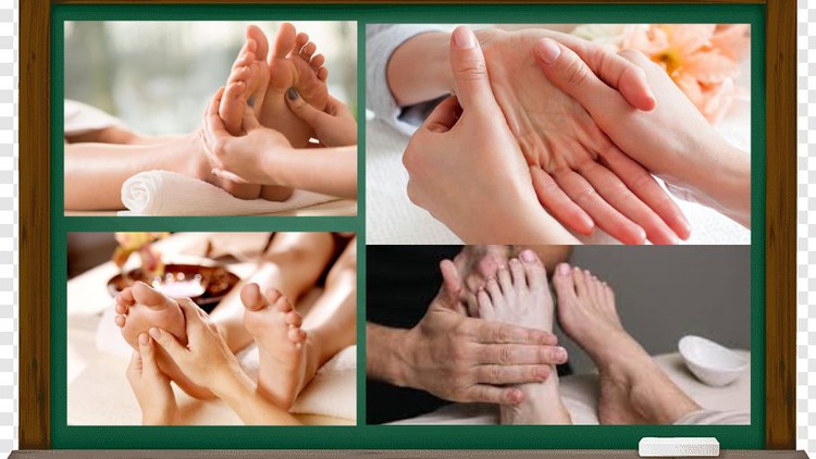 Certified Reflexology Course