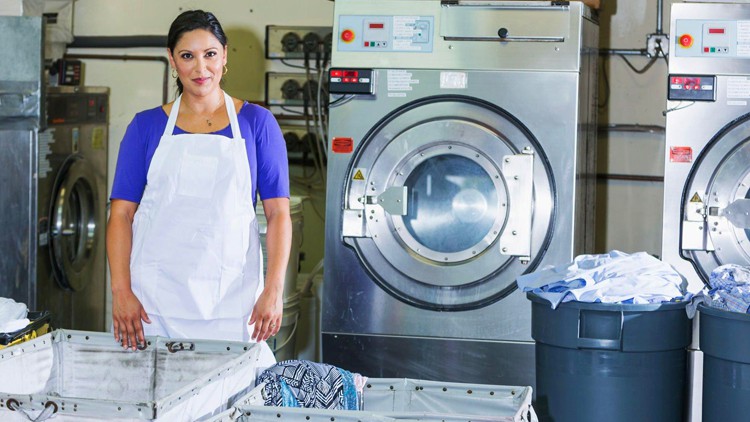 Master Course in Laundry and Dry Cleaning Business 2.0