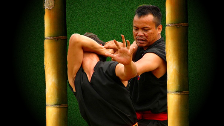 Pencak Silat - Ciung Wanara 100% Self Defence