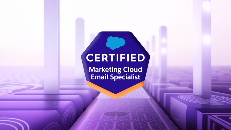 Salesforce Email Specialist Certification: 6 Practice Tests