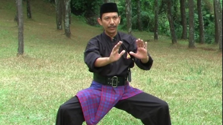 Pencak Silat - Garis Paksi Vol. 2  English