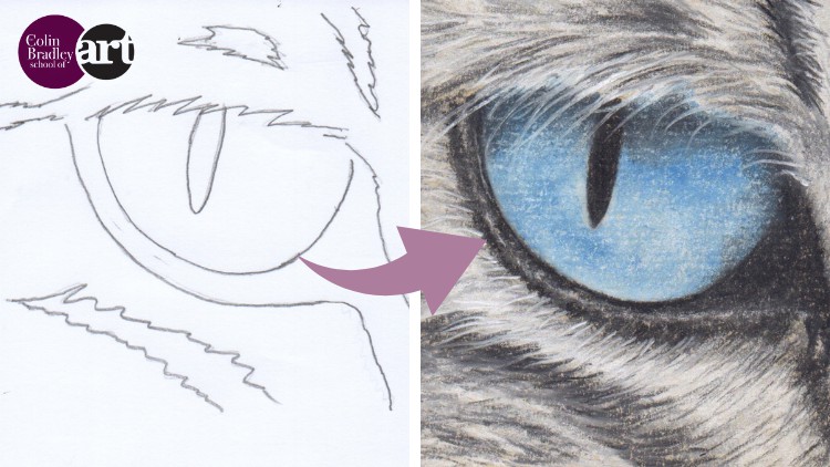 Draw a Stunning Cat's Eye using Pastel Pencils