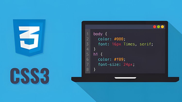 CSS Complete Guide (incl. Animation, Flexbox, Grid & Sass)