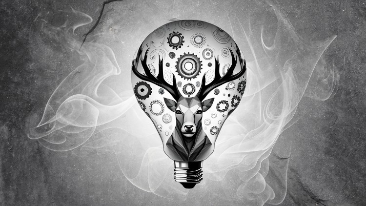 NLP for Mental Health, Emotional Intelligence and Resilience