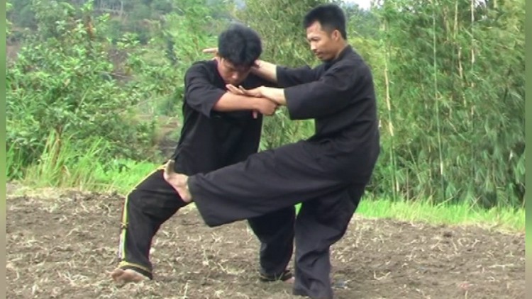 Pencak Silat Pamonyet  Le système de combat des singes Vol.1