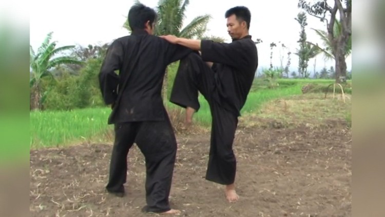 Pencak Silat - Pamonyet - The Monkey Fighting System Vol.2