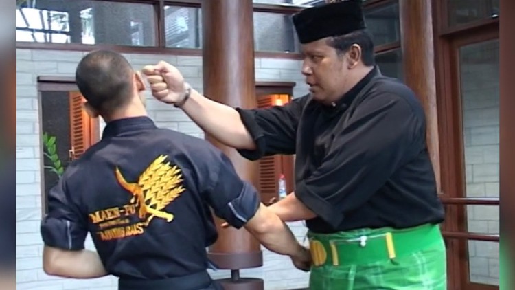 Pencak Silat - Maenpo Peupeuhan - The Art of Fighting