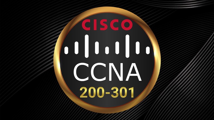 Cisco Certified Network Associate CCNA 200-301 Practice Test