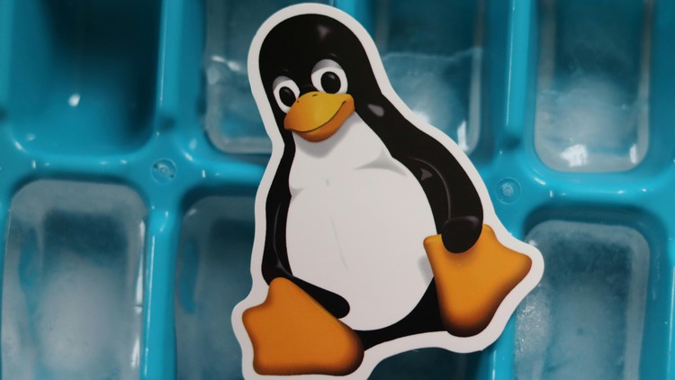 Linux Command Line Course for Cyber Security and Pentesting