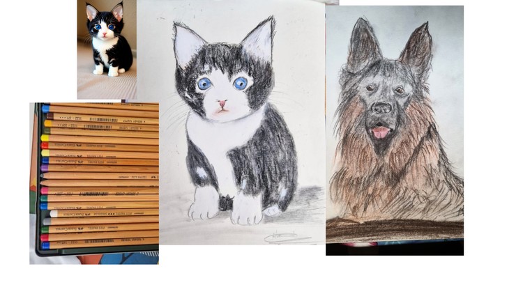 learn to draw your pet easily even you are not artist