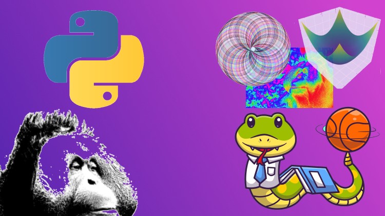 Python for Data Science: From Zero to Data Analysis