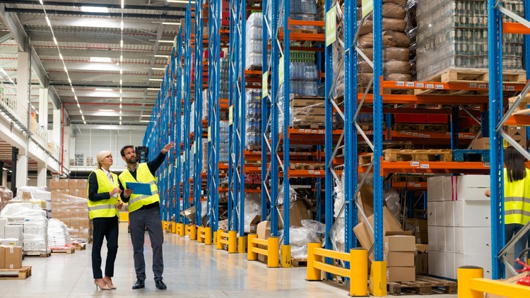 SAP EWM (Extended Warehouse Management) in Nutshell