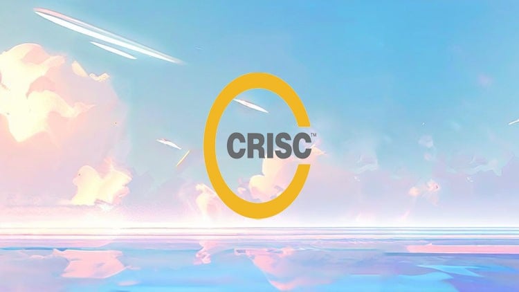 CRISC Certification Prep Course: 6 Practice Exams 2024