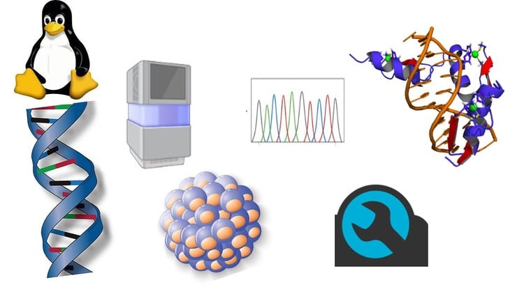 Bioinformatics: Learn NGS Data Analysis From Scratch