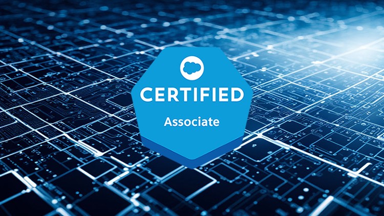Salesforce Associate Certification: Practice Questions