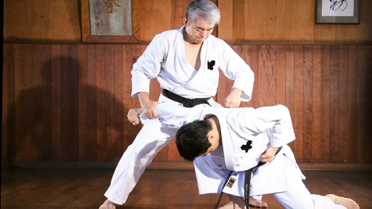 Shotokan Karate Keio Vol.2 Kata & Bunkai 2. Dan "Deutsch"