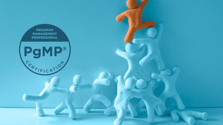 Program Management Professional Practice Exam 2024