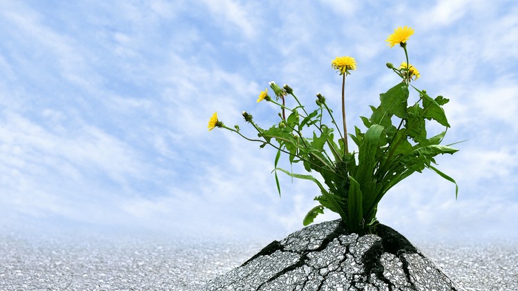 Building Resilience