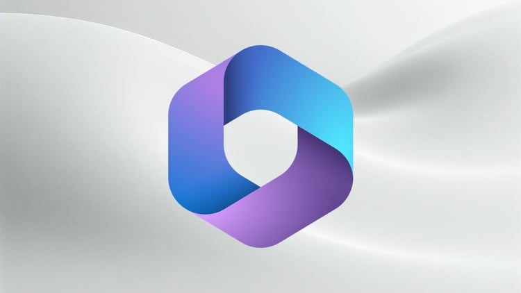 Microsoft 365 관리