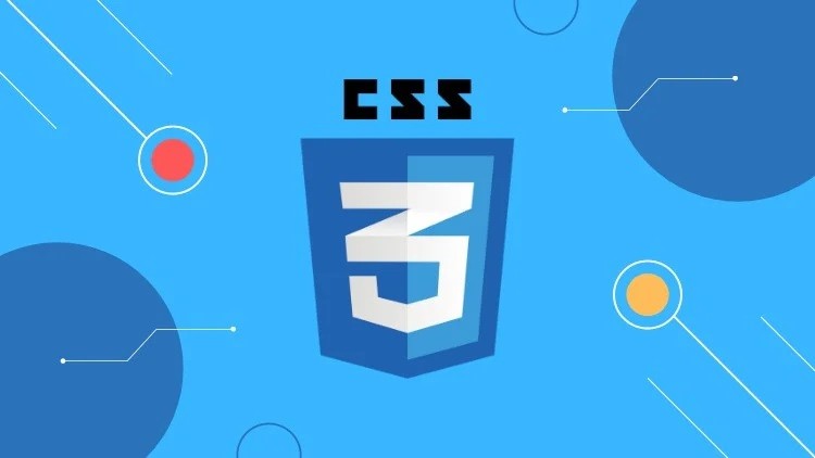 Learn CSS from Scratch : CSS for Beginners 2025