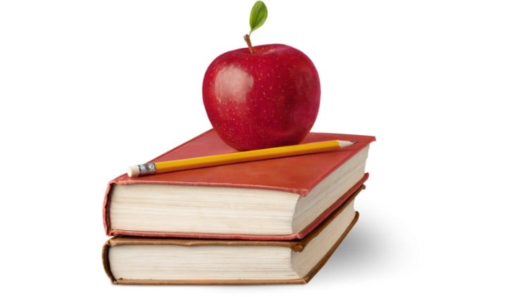 Instagram Growth for TPT Sellers (Teachers Pay Teachers)