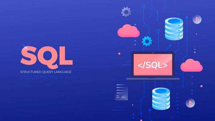 The Ultimate SQL Training for Data Science